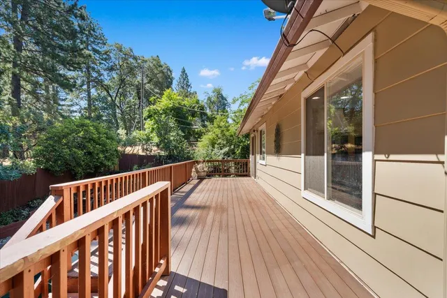 a view of a wooden bench with a tree