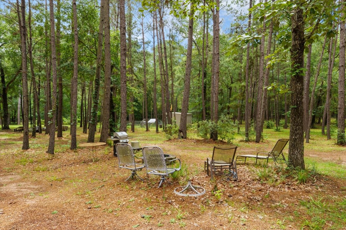 16375 Grand Flower Road Plantersville, TX 77363 - Photo 38 of 50 a view of a chair and tables in the patio next to a yard