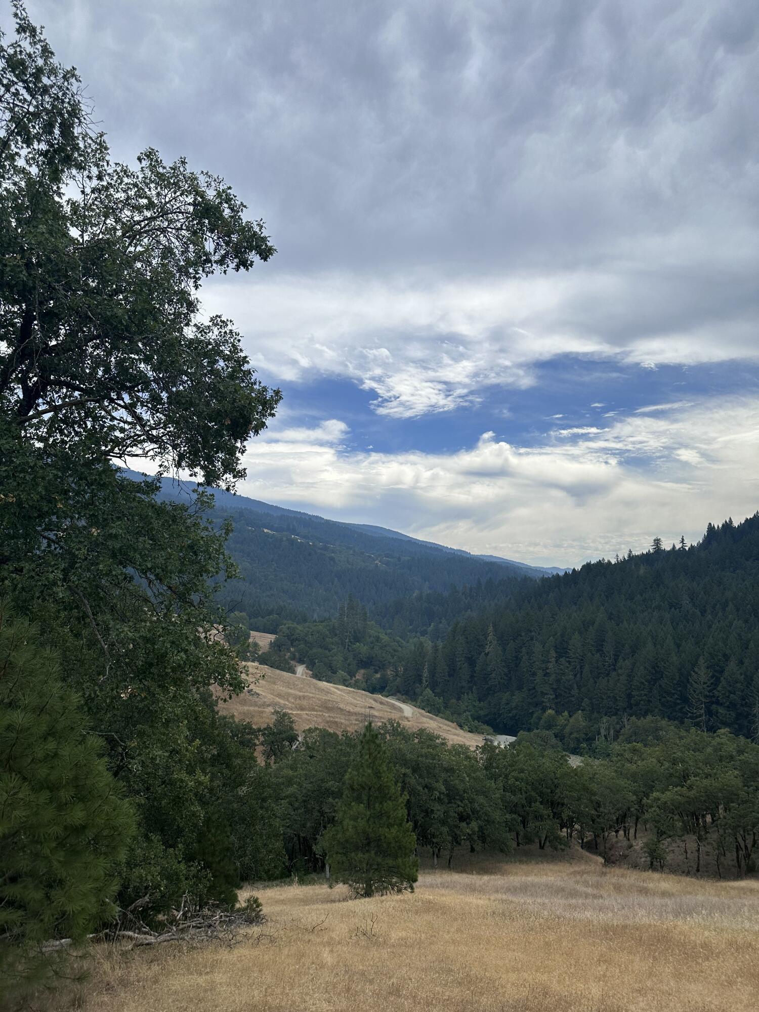0 River Road Miranda, CA 95553 - Photo 12 of 31