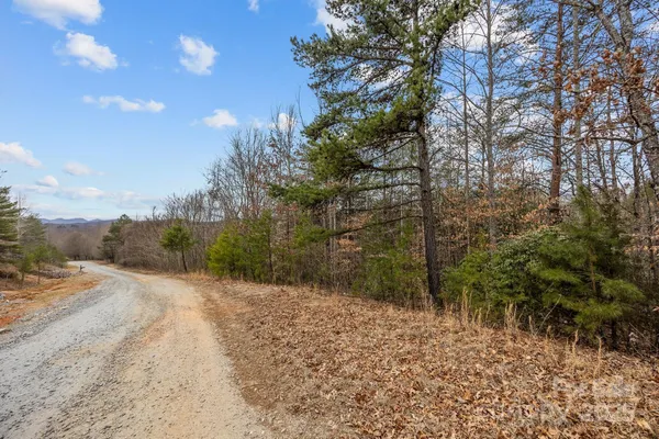 a view of a road with a trees