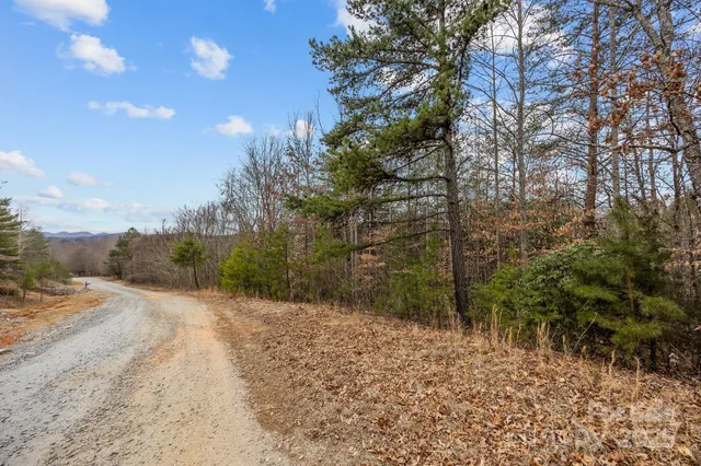 a view of a road with a trees
