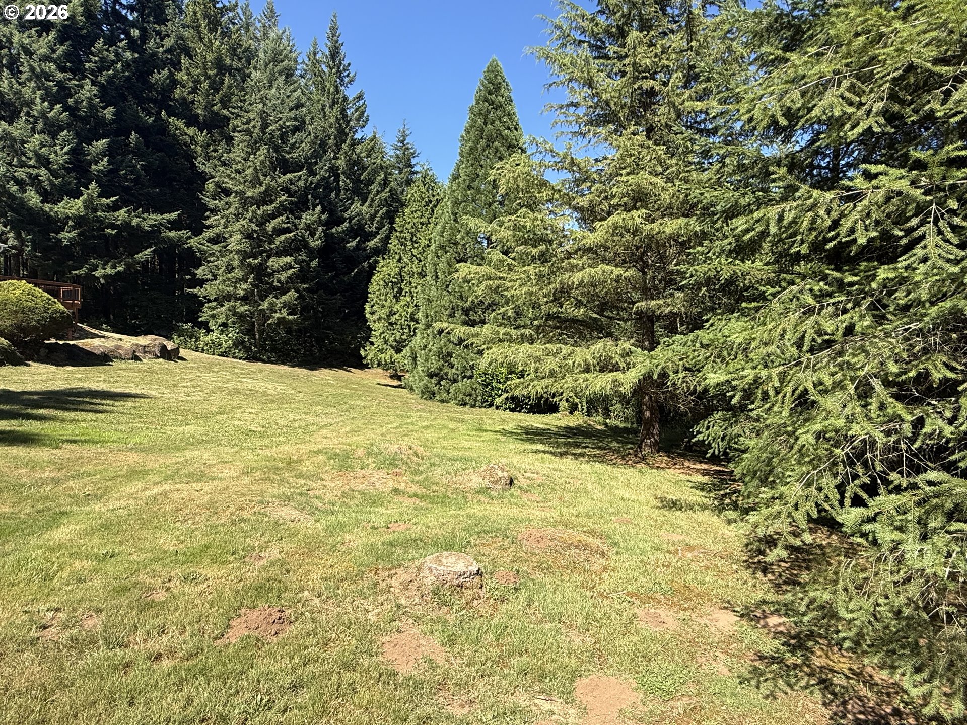 5005 Northeast Lessard Road Camas, WA 98607 - Photo 5 of 12