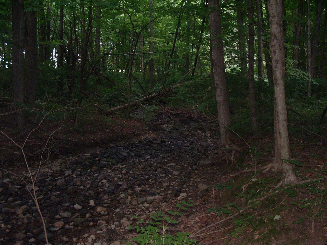 9311 Jug St Road Northwest Pataskala, OH 43062 - Photo 75 of 83 DSCF0058