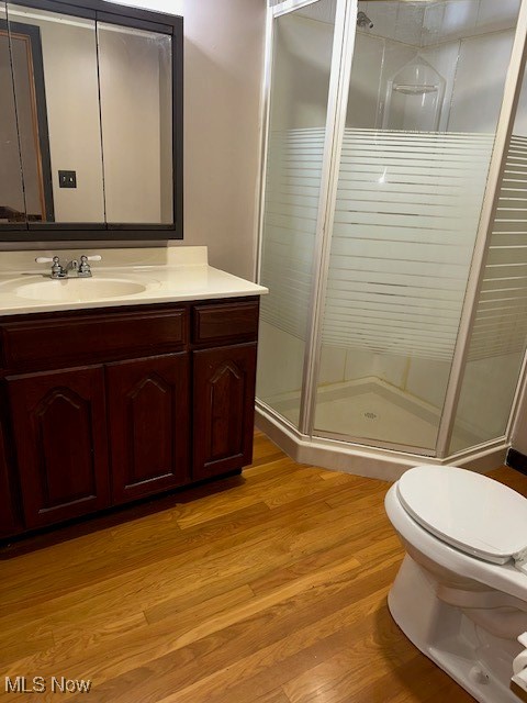 890 Mill Road Ravenna, OH 44266 - Photo 15 of 18 Bathroom featuring toilet, a shower stall, vanity, and wood finished floors
