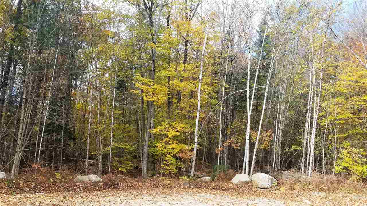 Oak Ridge Road Bethlehem, NH 03574 - Photo 2 of 10