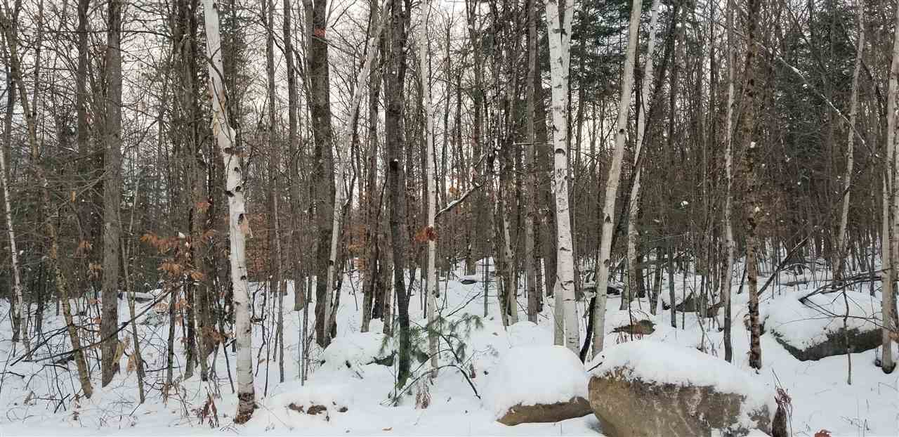 Oak Ridge Road Bethlehem, NH 03574 - Photo 4 of 10