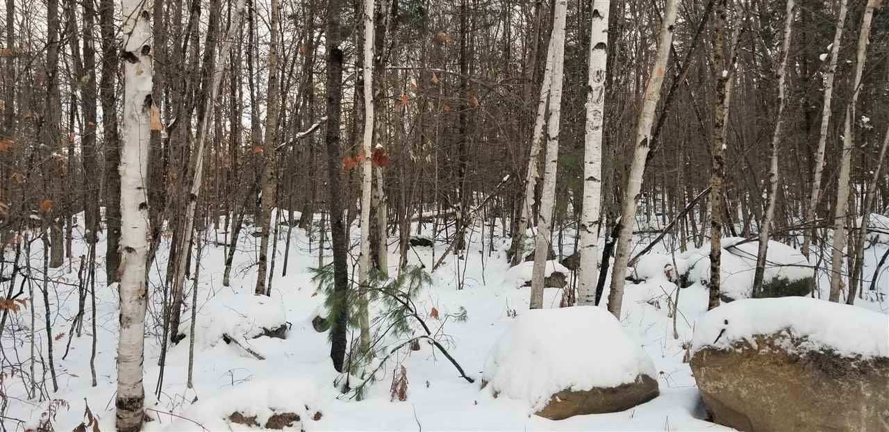 Oak Ridge Road Bethlehem, NH 03574 - Photo 5 of 10