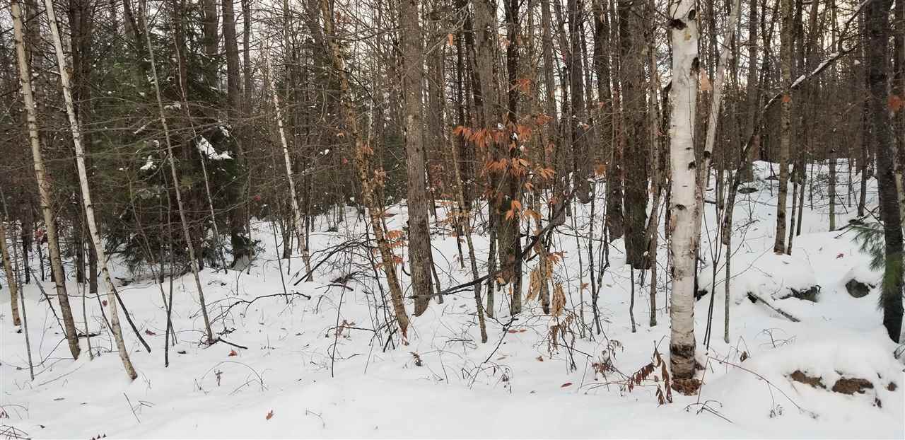 Oak Ridge Road Bethlehem, NH 03574 - Photo 6 of 10