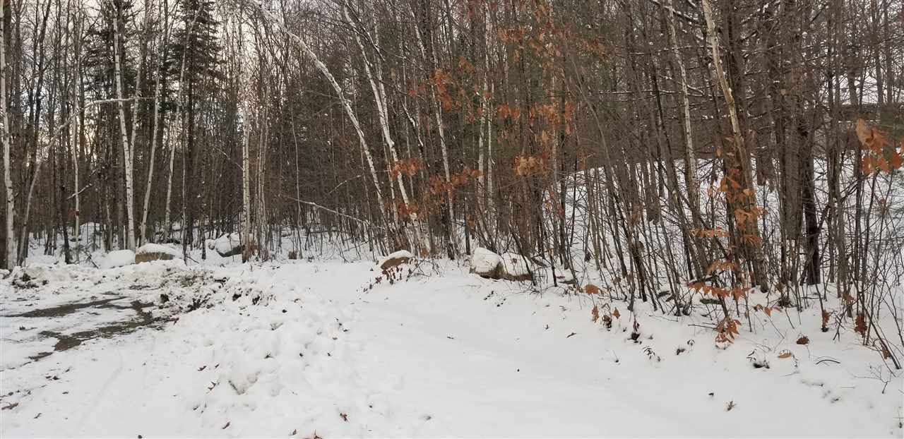 Oak Ridge Road Bethlehem, NH 03574 - Photo 10 of 10