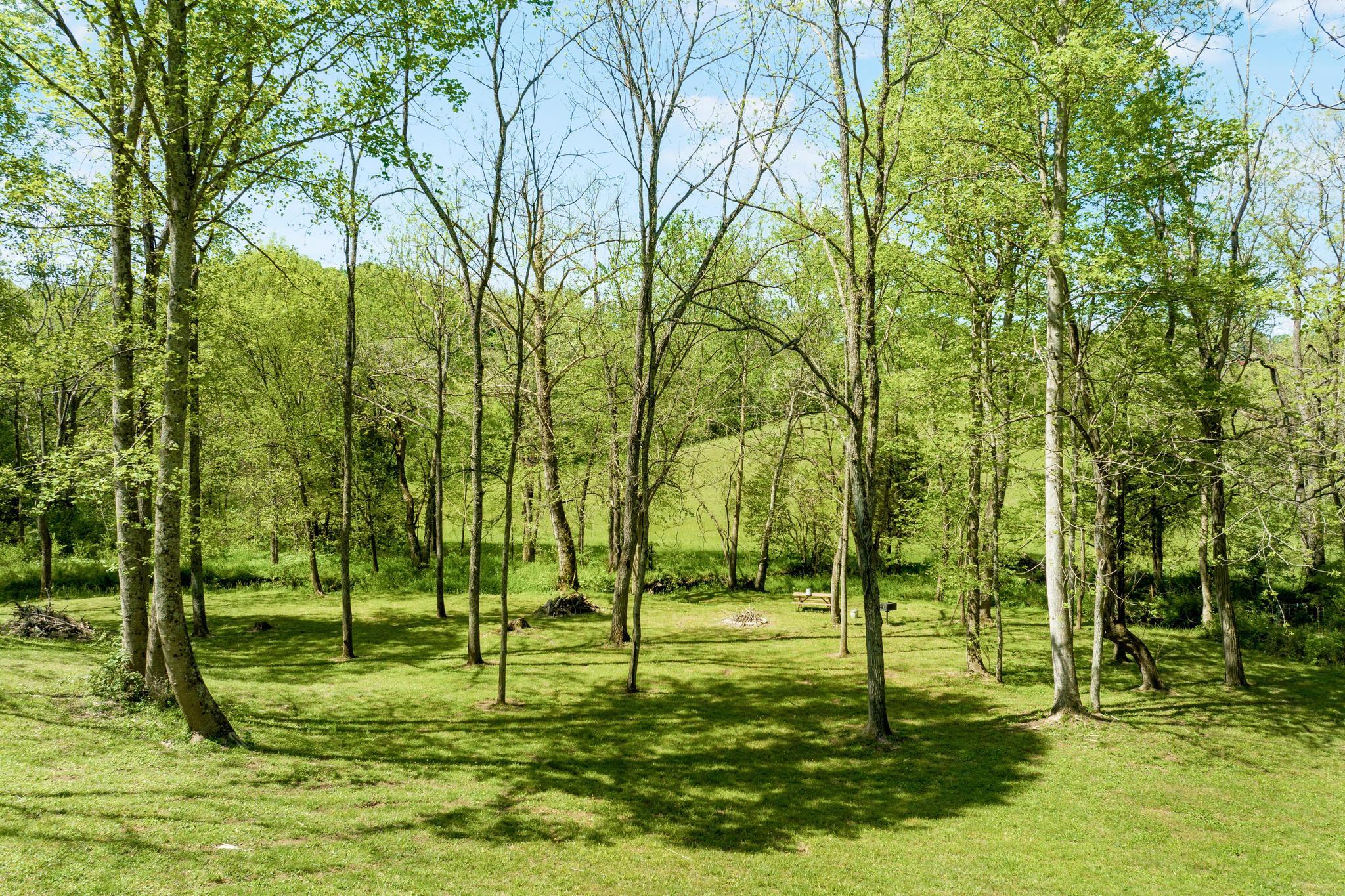 152-150 John Howze Road Jonesborough, TN 37659 - Photo 99 of 104 DJI_0229