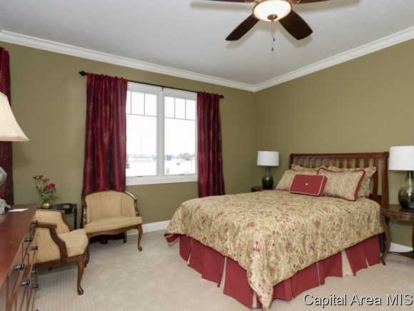 3952 Waterstone Way Springfield, IL 62711 - Photo 12 of 21