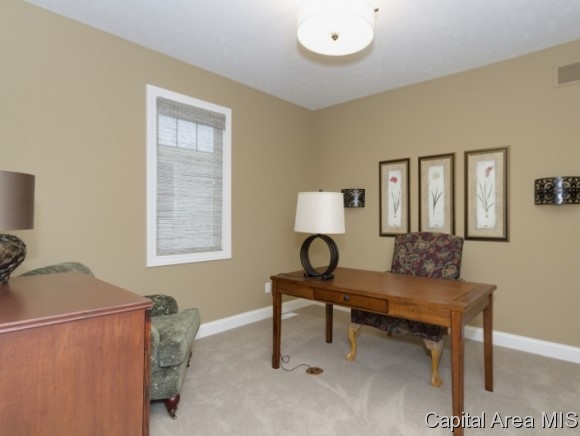 3952 Waterstone Way Springfield, IL 62711 - Photo 15 of 21