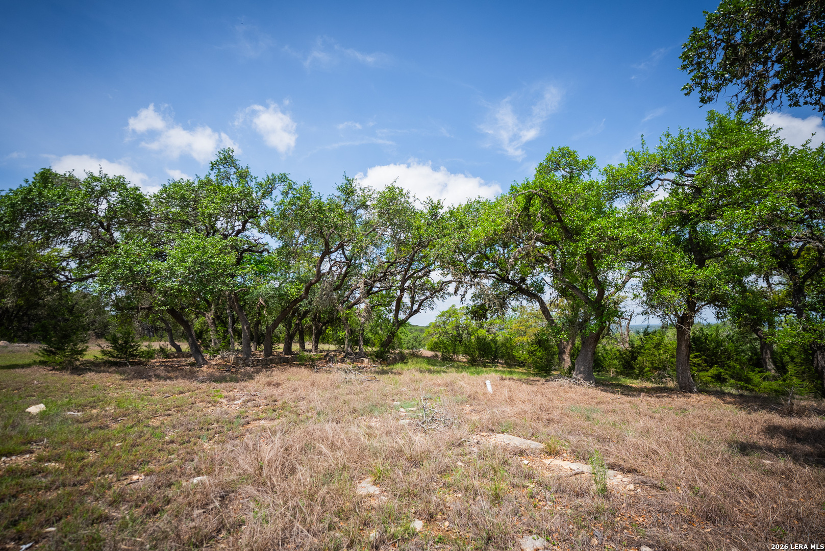 107 Sun Valley Drive Spring Branch, TX 78070 - Photo 44 of 49
