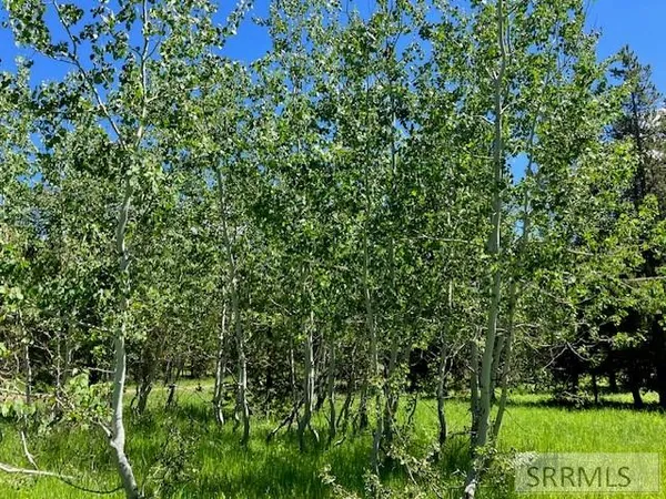 $250,000 | 2840 Morning Dew Drive, Island Park, ID 83429