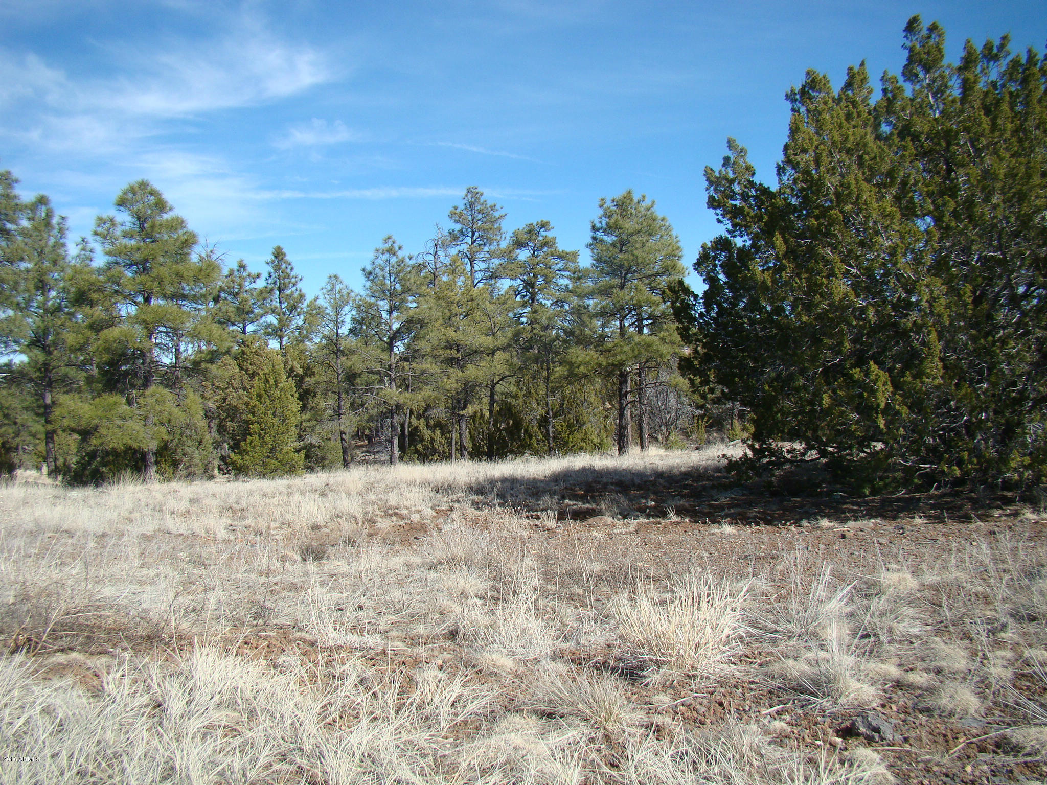 2060 East Bluff Ridge Road, Unit 7 Show Low, AZ 85901 - Photo 1 of 7 2060 E Bluff Ridge Road