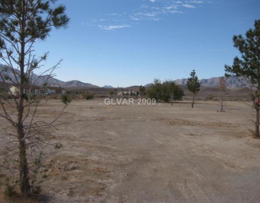 4780 West Rancho Road Pahrump, NV 89048 - Photo 14 of 15 Yard/Garden.
