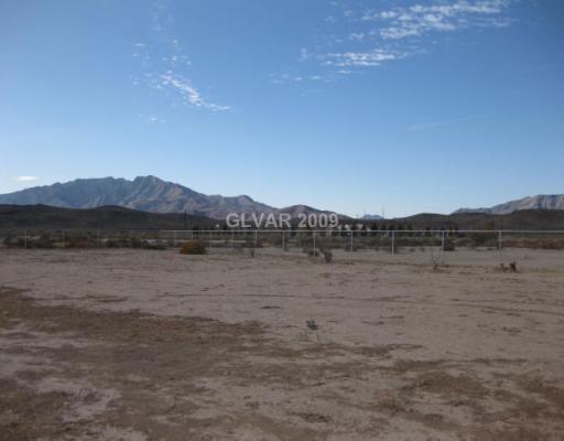 4780 West Rancho Road Pahrump, NV 89048 - Photo 15 of 15 Yard/Garden.