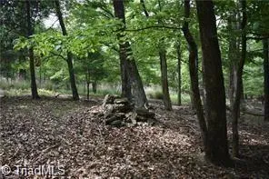 $16,500 | 0 Grandview Circle, Traphill, NC 28685