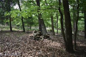 0 Grandview Circle Traphill, NC 28685 - Photo 5 of 6