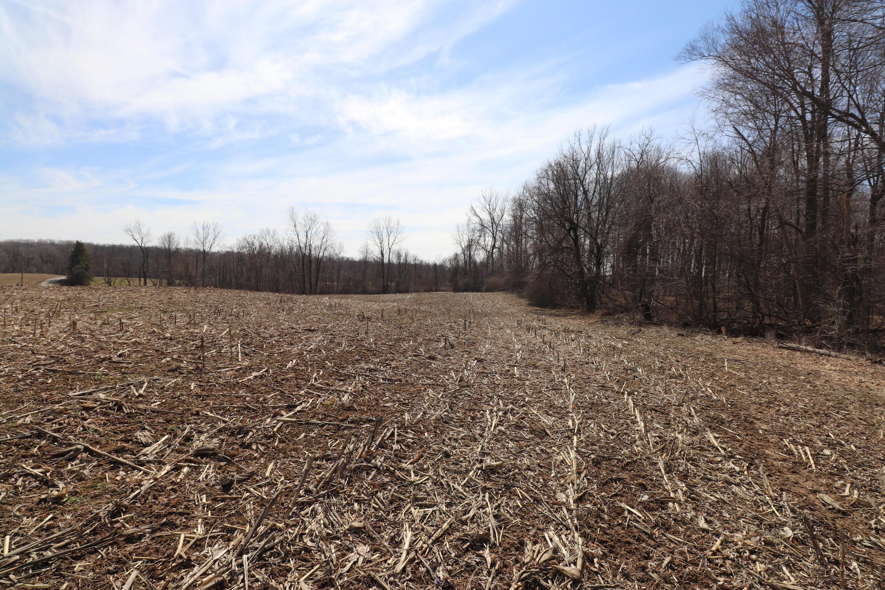 7 New Delaware Road Mount Vernon, OH 43050 - Photo 10 of 13 IMG_9690