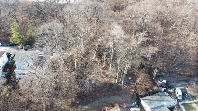 a view of a dry yard with trees