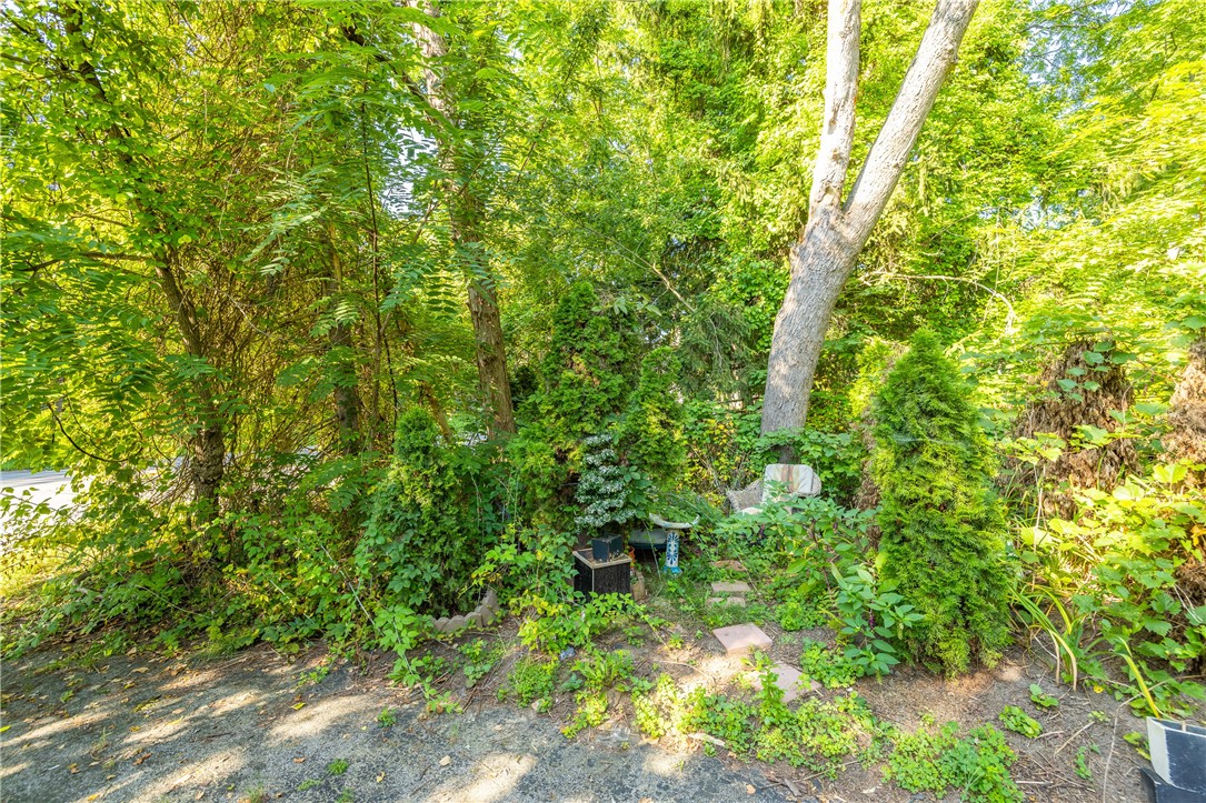 966 Klem Road Webster, NY 14580 - Photo 18 of 31 WOODED LOT!