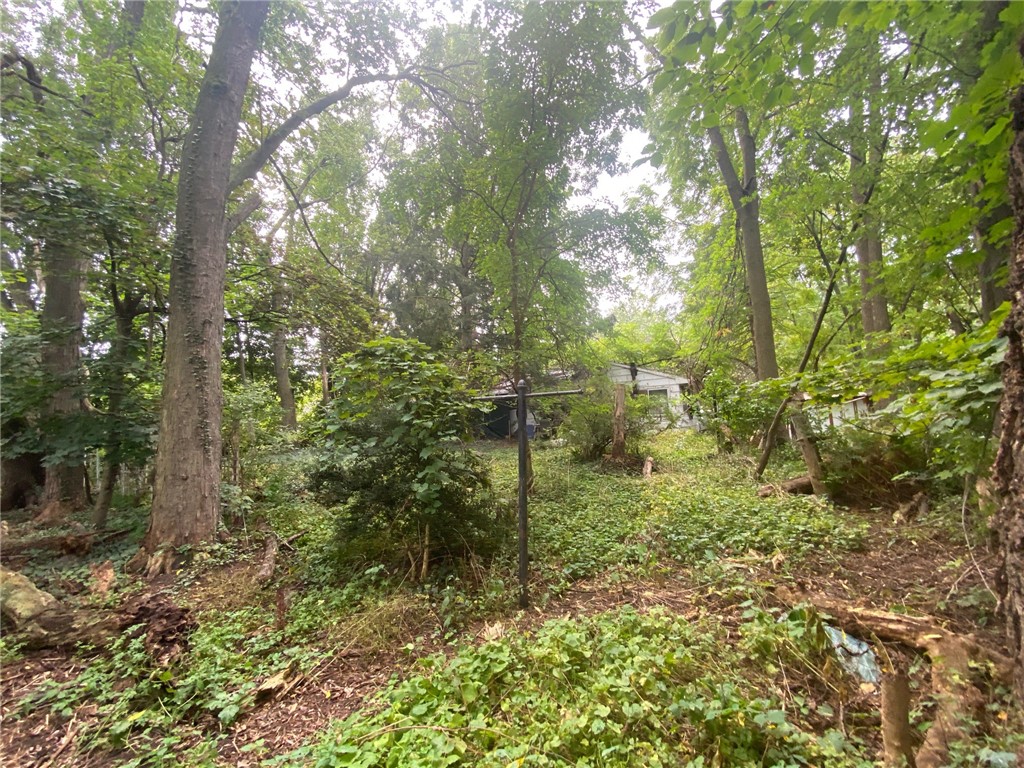 966 Klem Road Webster, NY 14580 - Photo 6 of 31 VIEW OF BACKYARD OF HOUSE!