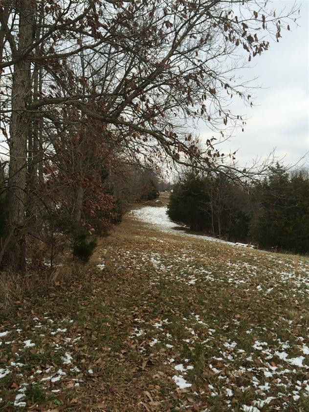 0 Keefer Lawrenceville Road Corinth, KY 41010 - Photo 20 of 29