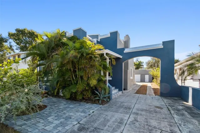 a view of a plant in a garden