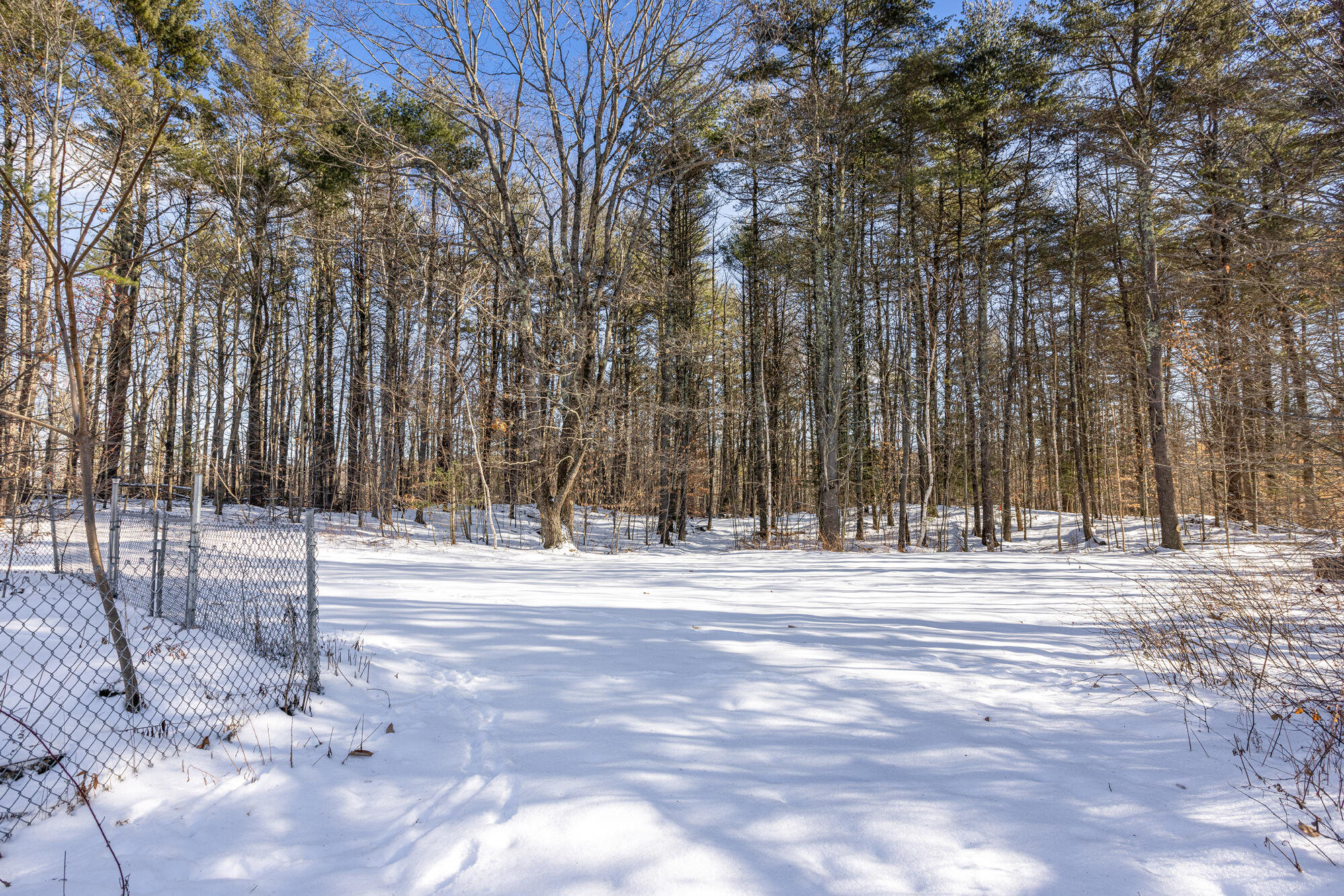 203 Center Road Gray, ME 04039 - Photo 41 of 47 Back Yard-4
