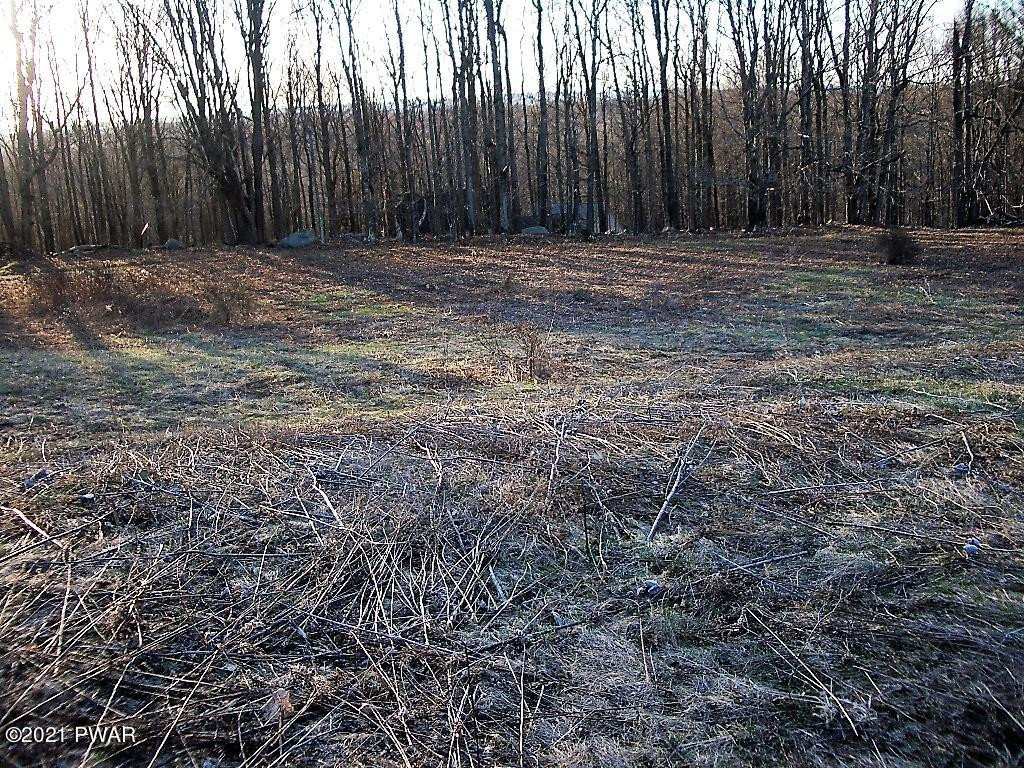 7 Avoy Heights Road Lake Ariel, PA 18436 - Photo 6 of 9