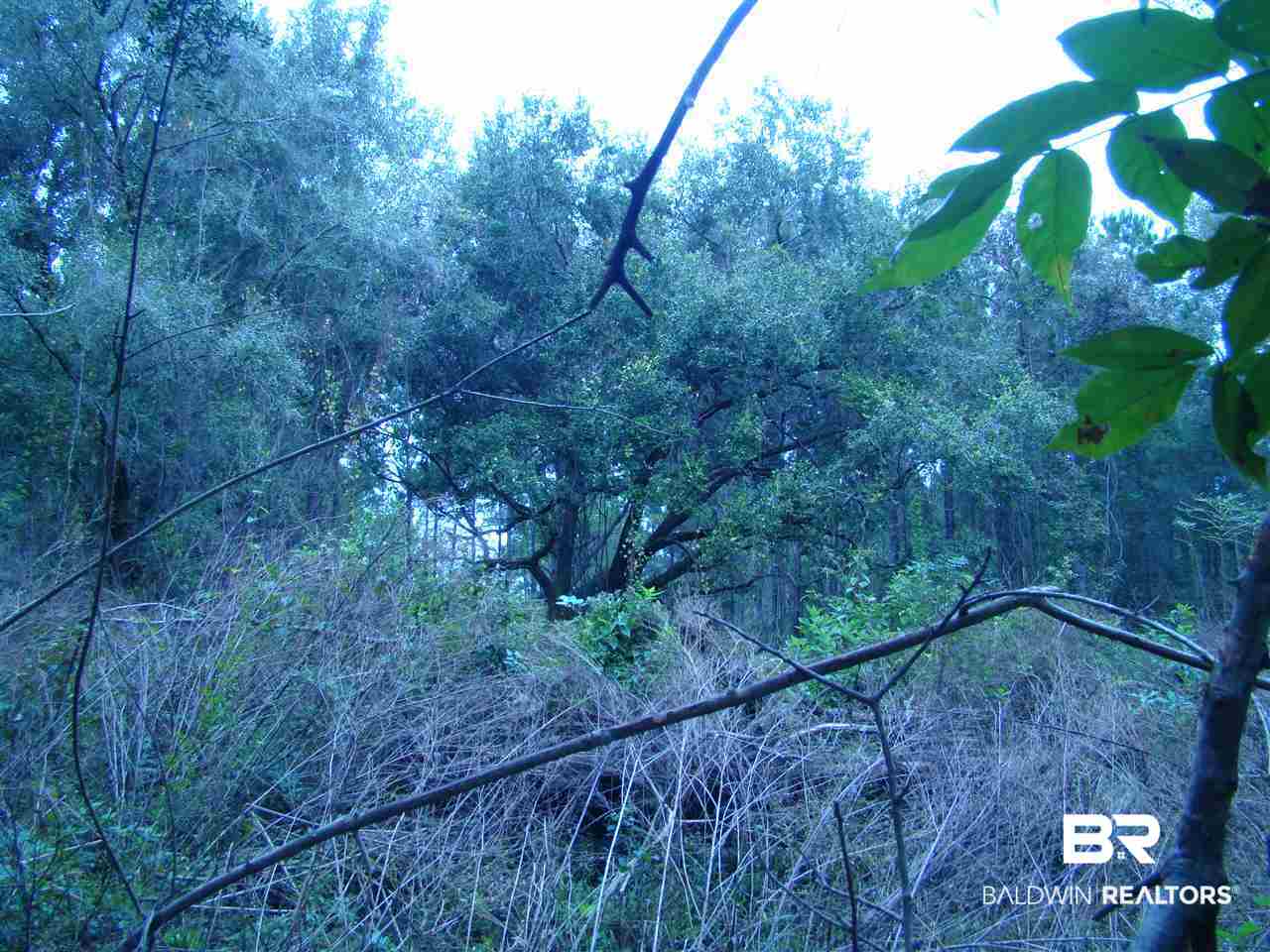 0 Lilly Wilson Lane Bay Minette, AL 36507 - Photo 7 of 9