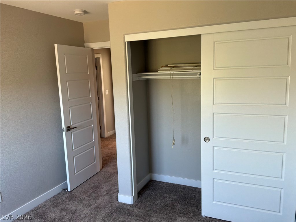9041 Rendon Street Las Vegas, NV 89143 - Photo 21 of 34 An open sliding door reveals closet storage space over soft carpet flooring.