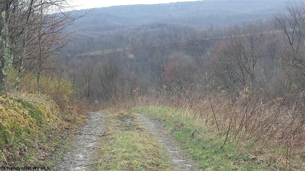 Salt Lick Road Terra Alta, WV 26764 - Photo 11 of 19 Gallery Image 11