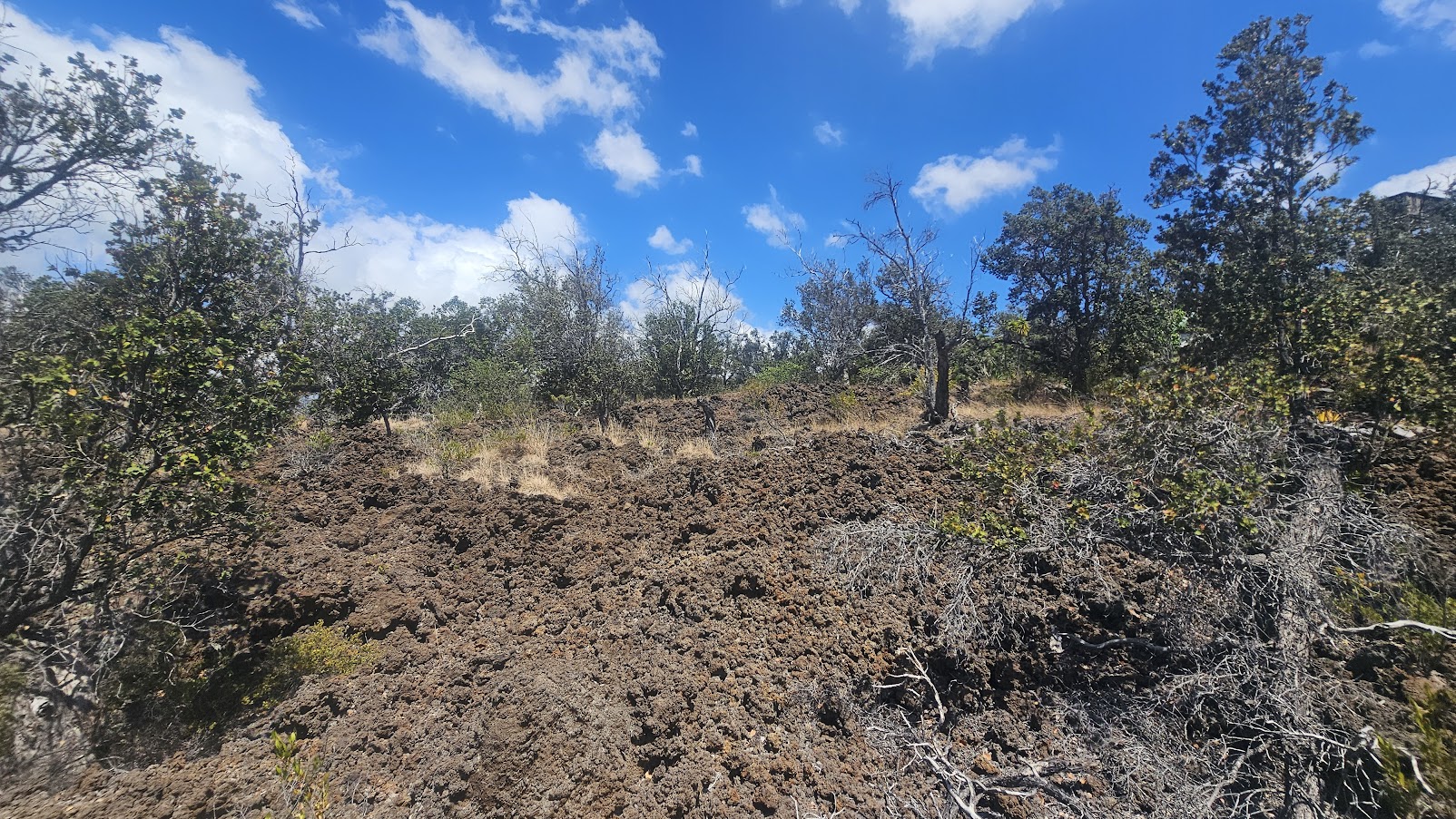 92-1673 Lot 32 Walaka Drive Ocean View, HI 96704 - Photo 4 of 8