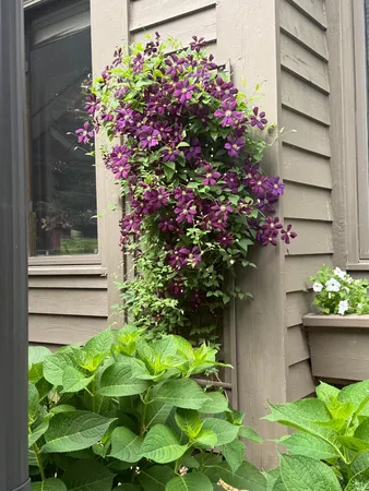 $749,950 | 9983 Arcola Court North, Stillwater, MN 55082