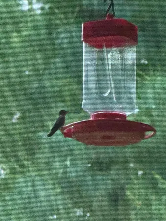 $749,950 | 9983 Arcola Court North, Stillwater, MN 55082