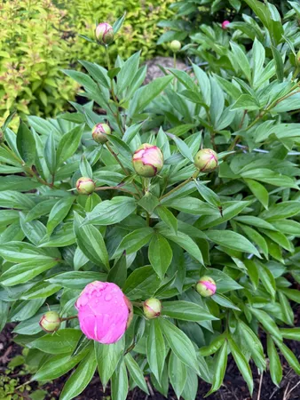 $749,950 | 9983 Arcola Court North, Stillwater, MN 55082