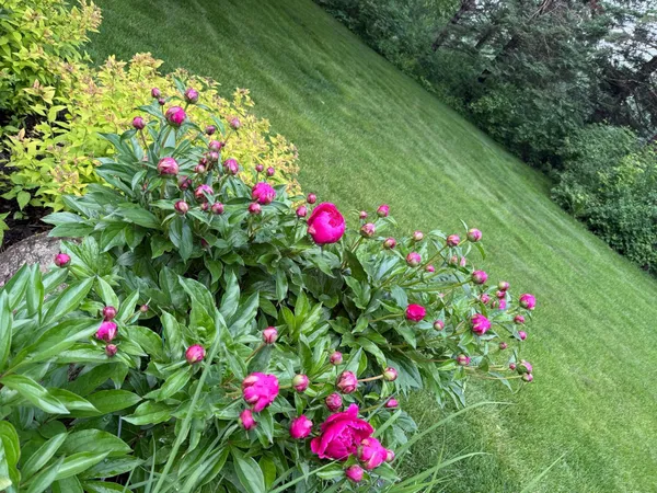 $749,950 | 9983 Arcola Court North, Stillwater, MN 55082