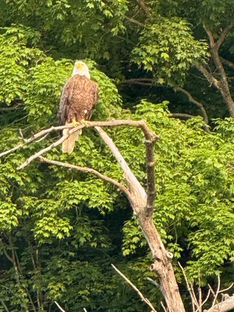 $749,950 | 9983 Arcola Court North, Stillwater, MN 55082