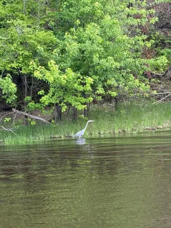 $749,950 | 9983 Arcola Court North, Stillwater, MN 55082