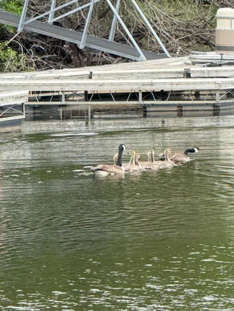 $749,950 | 9983 Arcola Court North, Stillwater, MN 55082