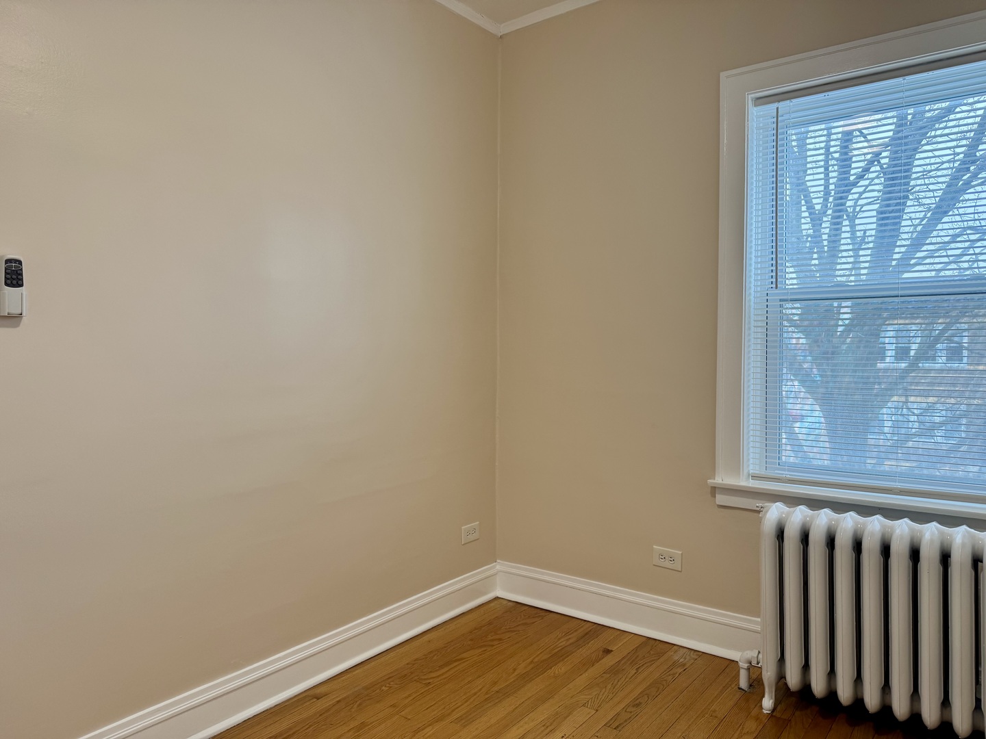 2125 Wesley Avenue, Unit 2 Berwyn, IL 60402 - Photo 7 of 26 a view of a room with wooden floor and a window