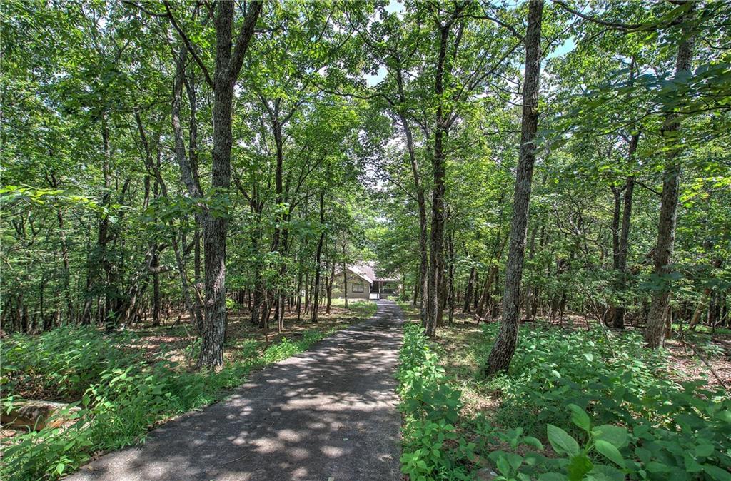 1379 Little Hendricks Mountain Road Jasper, GA 30143 - Photo 33 of 60