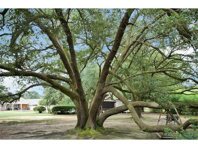 17140 Bomoka Road Covington, LA 70435 - Photo 13 of 17 Gallery Image 13