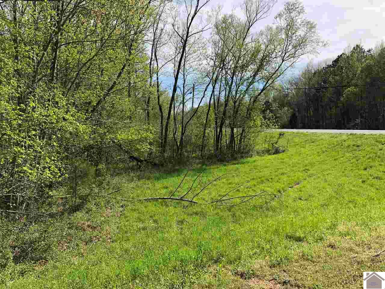0 Ragsdale Road Murray, KY 42071 - Photo 1 of 1 Photo 1