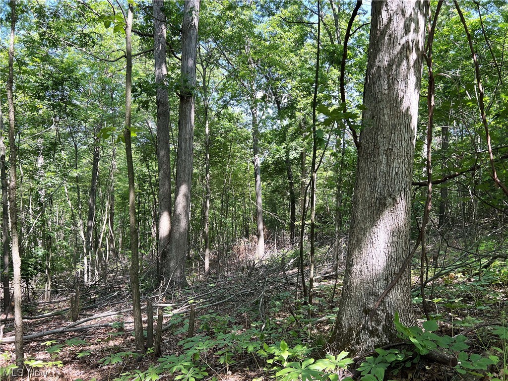 0 Camp Road Southeast Port Washington, OH 43837 - Photo 11 of 16 Gallery Image 11