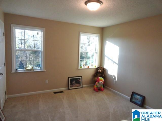 309 Hilltop Road Adamsville, AL 35005 - Photo 9 of 25