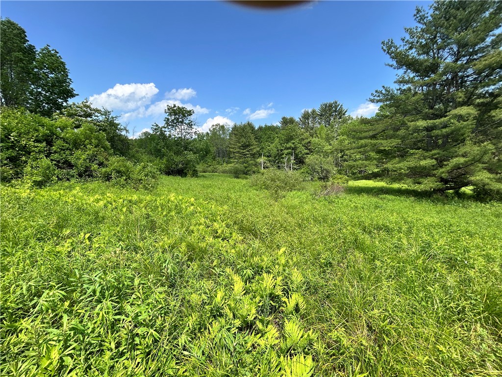 Lot 2 Oregon Road Gilbertsville, NY 13776 - Photo 5 of 7