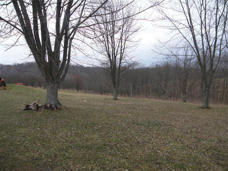 14507 Stephenson Road Morning View, KY 41063 - Photo 6 of 23